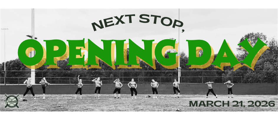 Welcome to Gallatin Little League! 