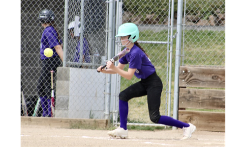 Yreka Ponytail Softball 