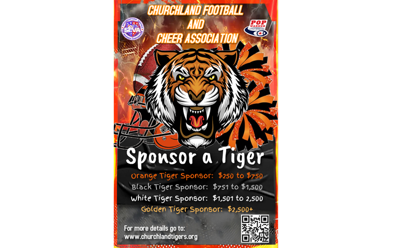 Sponsor a Tiger