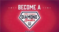 DIAMOND LEADER PROGRAM