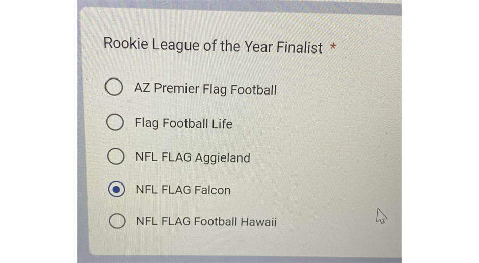 Aggieland Flag Football League > Home