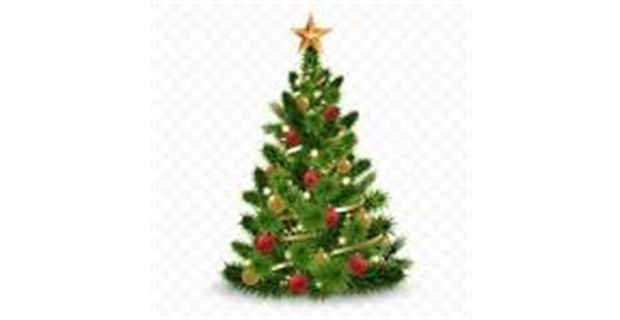 MERRY CHRISTMAS FROM DISTRICT 8