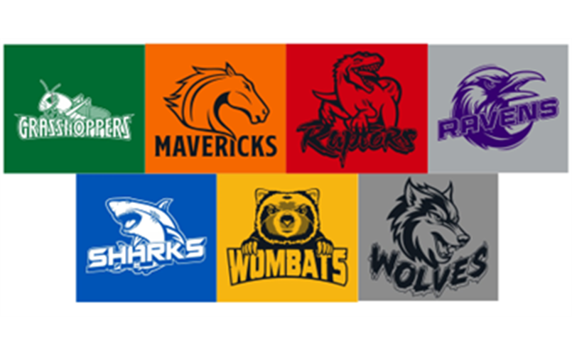 Who's Your Team?