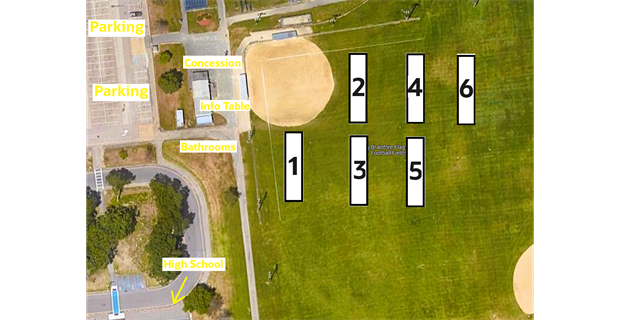 Field Layout - Week 2