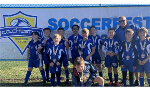 Spring and Summer Tournaments