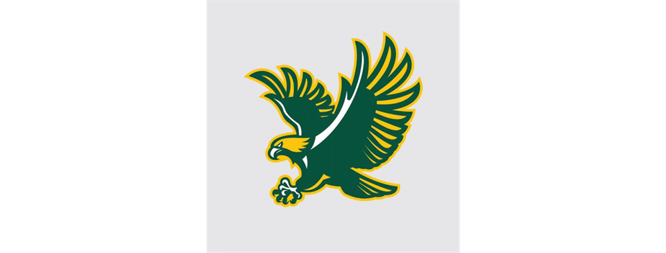 Fort Myers Falcons