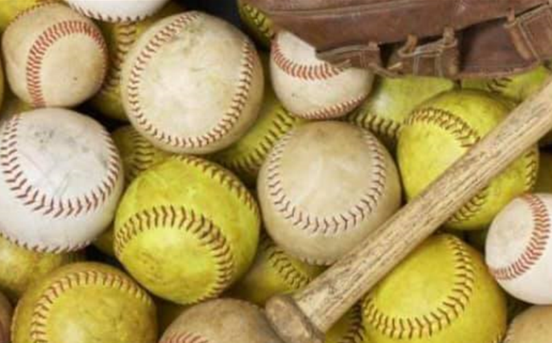 Thanks for a Great Softball/Baseball Season