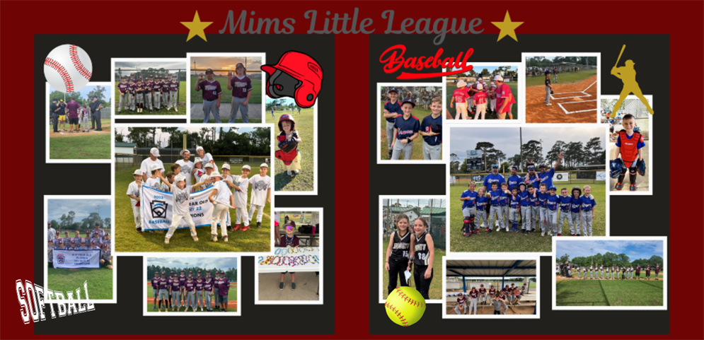 Mims Little League