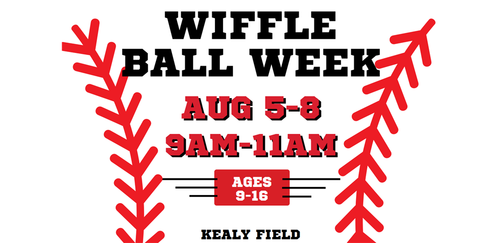 1st Annual Summer Wiffle Ball Tournament