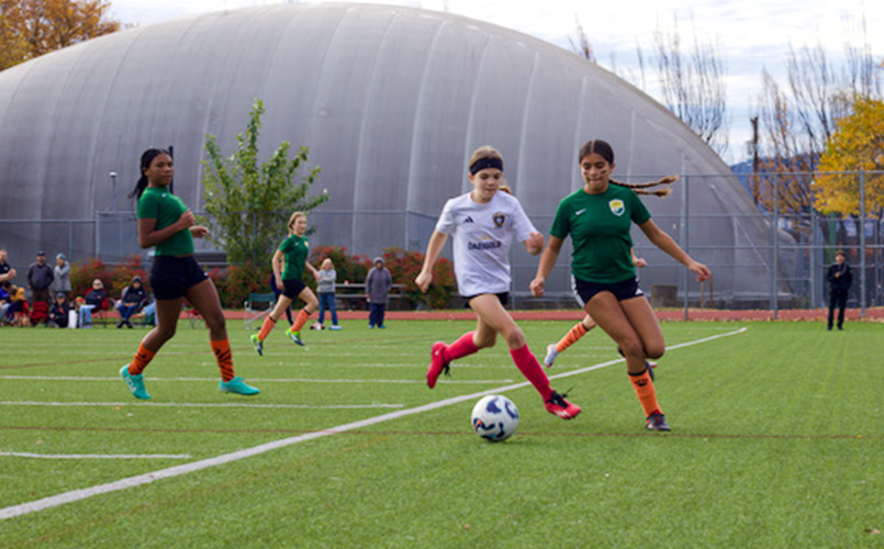 Fall 2026 Season Information