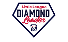 Diamond Leader Training