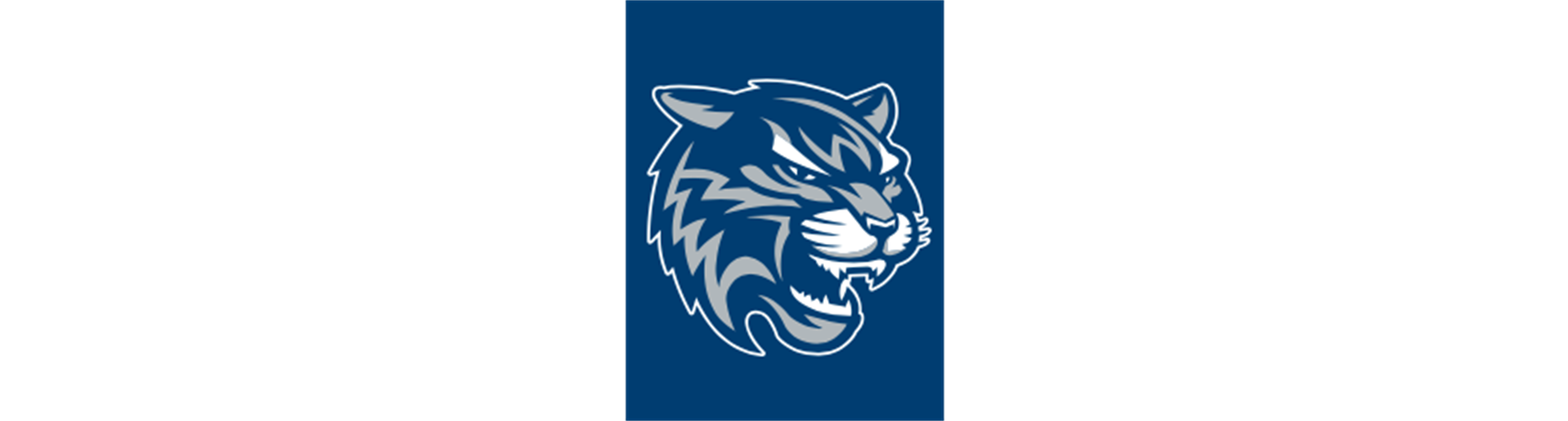 Registration for Rec hoops coming soon!