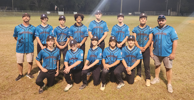 DLL Junior Baseball Top Team 2025