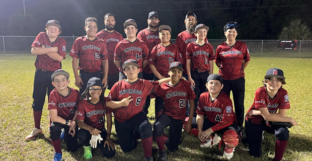 DLL Major Baseball Top Team 2025
