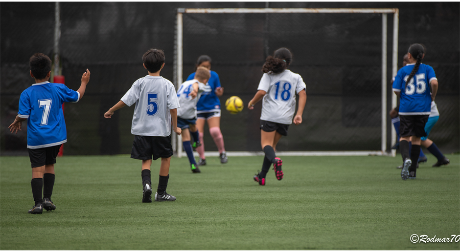 10U Soccer Team