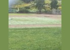 REAL BASEBALL!