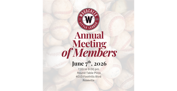 WLL Annual Board Meeting of Members