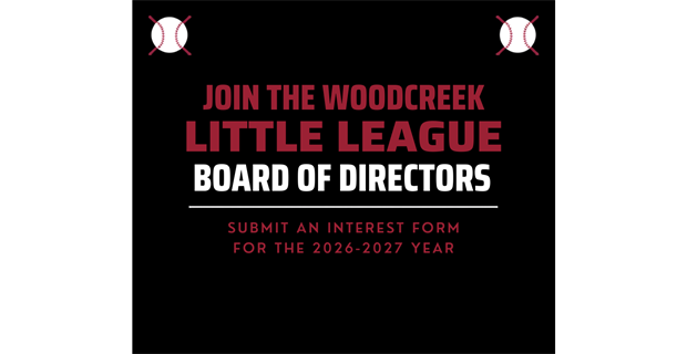 Submit Your Interest for WLL Board of Directors