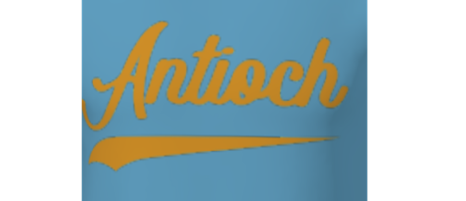 Where kids develop and learn the game of baseball