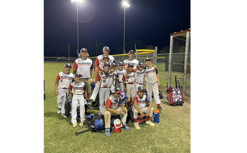 north-live-oak-county-little-league-home