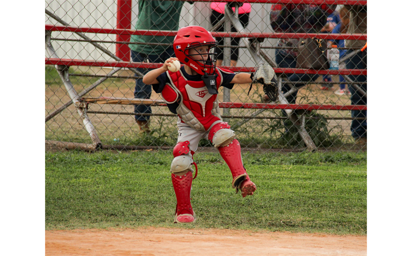 north-live-oak-county-little-league-home