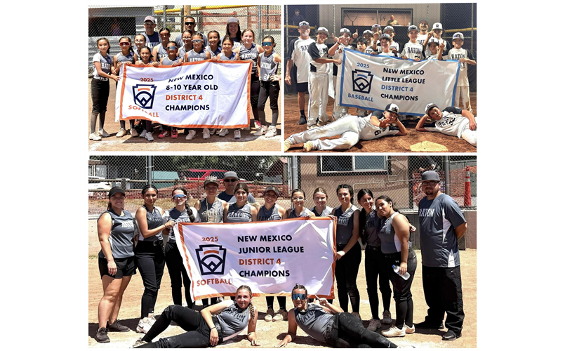 2025 District 4 Champions