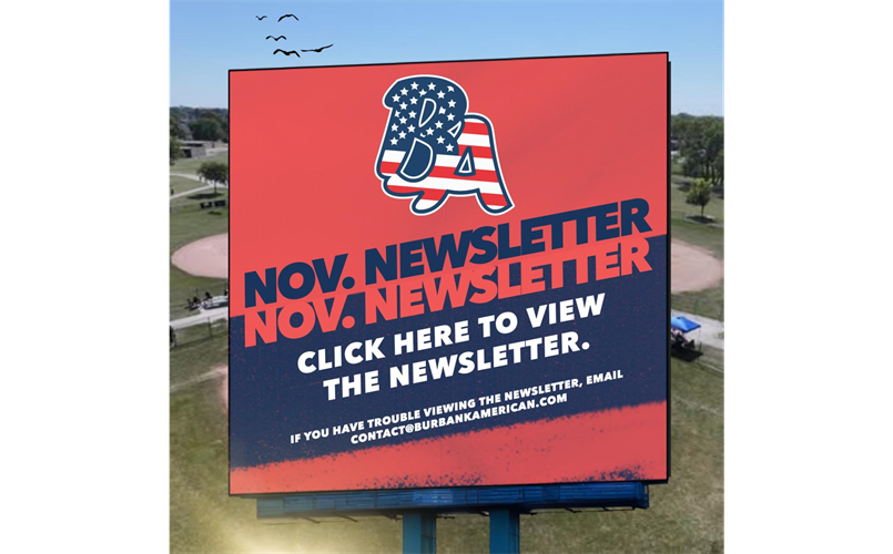 NOVEMBER NEWSLETTER...