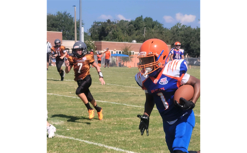 Wildcats with Their Eyes on the Endzone