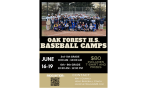 Summer Baseball Camps at OFHS 