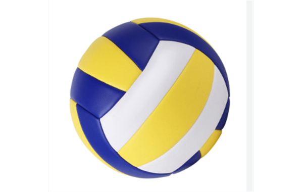 2025 FALL Volleyball