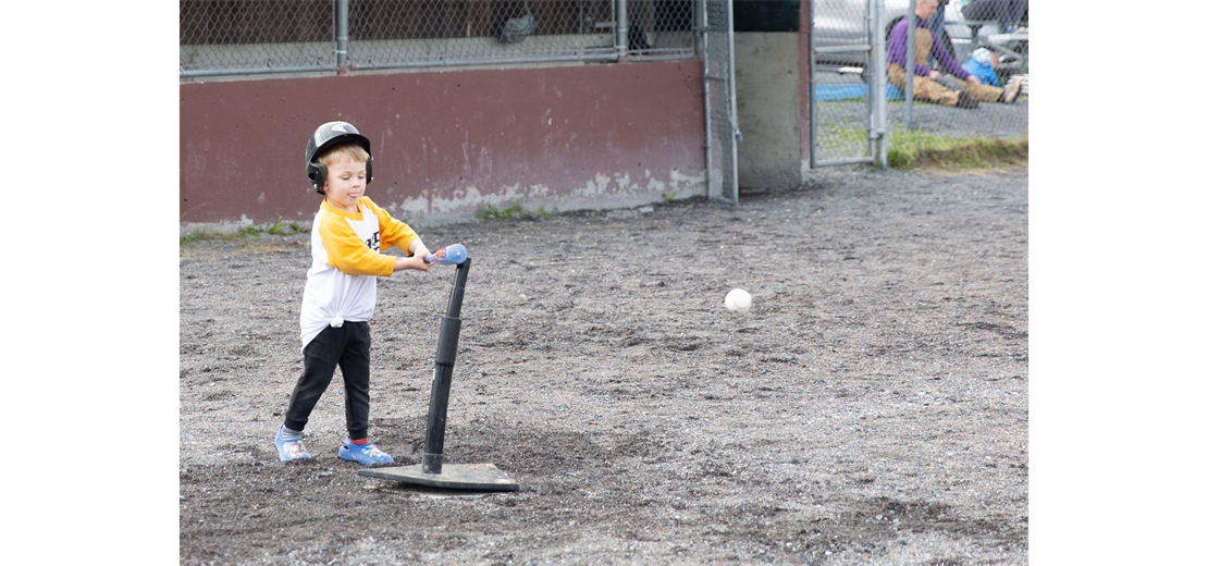 give it your best shot