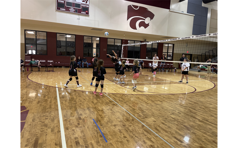  CYSA, the wildcat legacy. Where life long friends are made, respect and hard work ethic are learned and skills that will give your child an early start in their future sports!