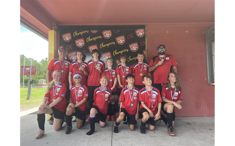 D3 Champions