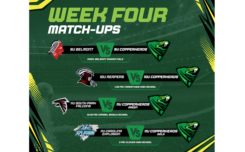 Week 4: What you need to know