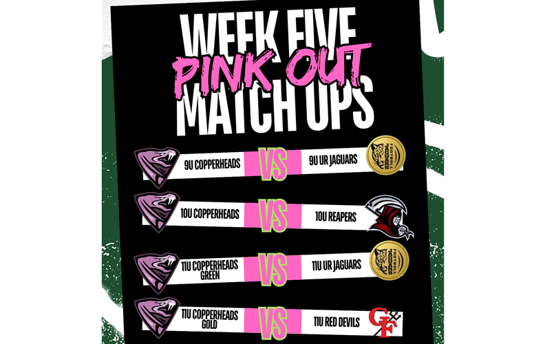 Game Five: Back in The Pit for our Pink Out game!