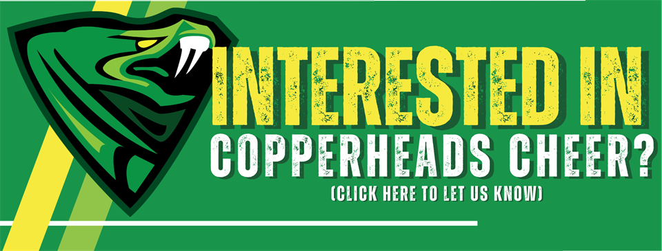 Interested in Cheer? Click here