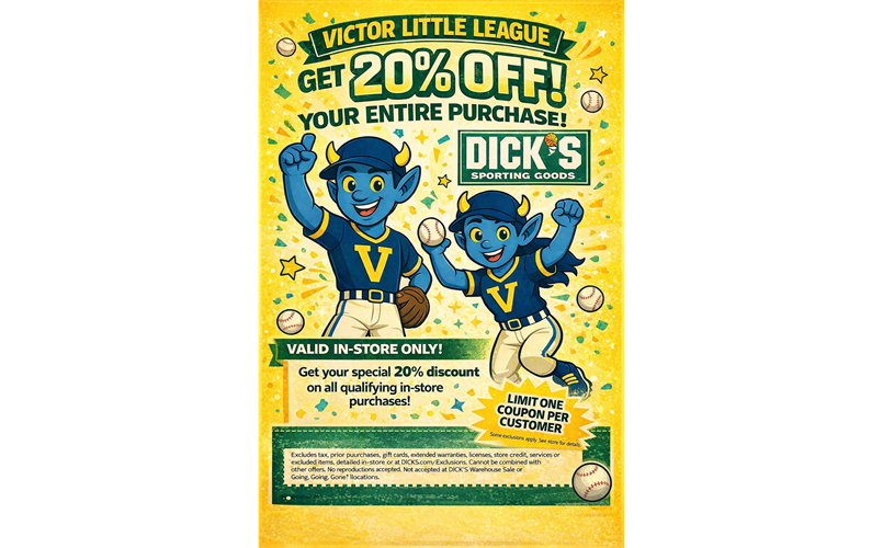 VLL - DICKS 20% OFF
