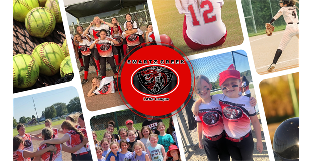 Welcome to Swartz Creek Little League!