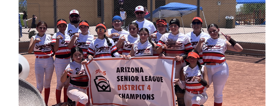 Superior Senior Softball D4 Champs