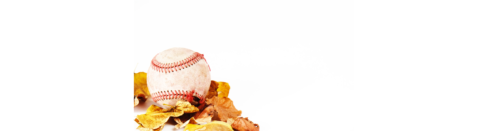 Fall Ball Registration Opening Soon!