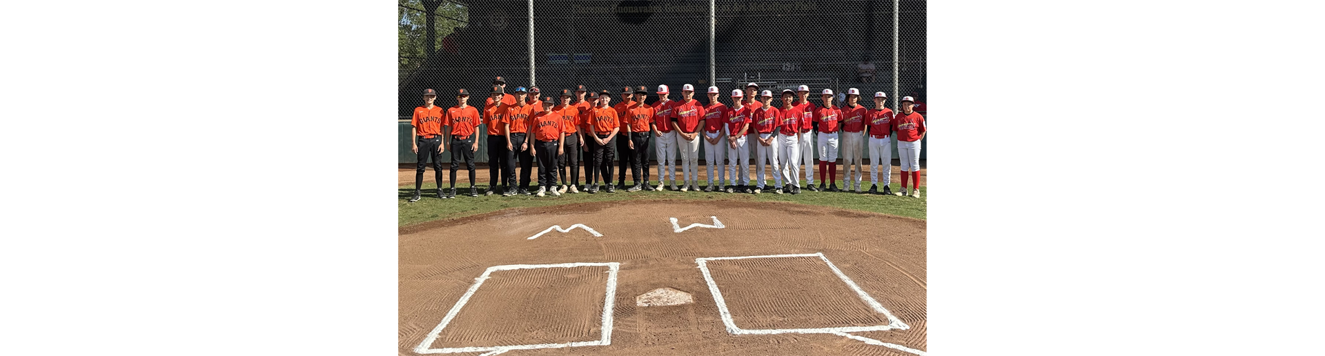 Mark West Juniors Giants and Cardinals 