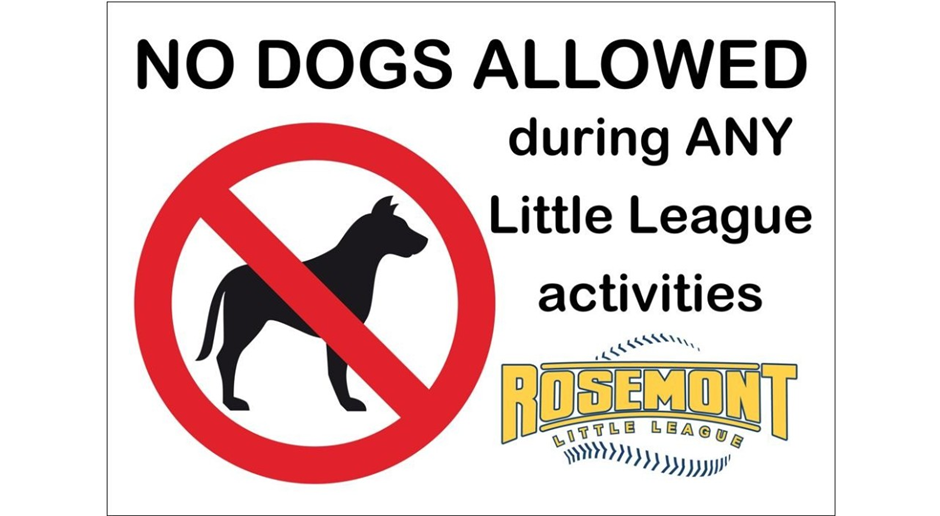 NO DOGS @ Little League Activities