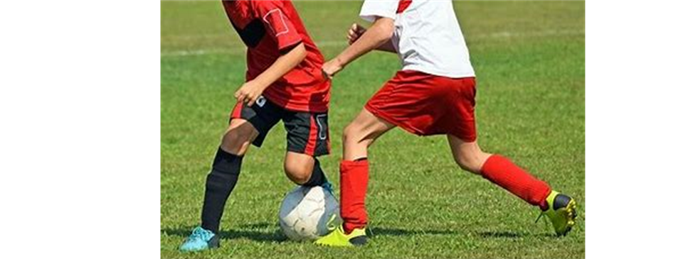 Become a coach!