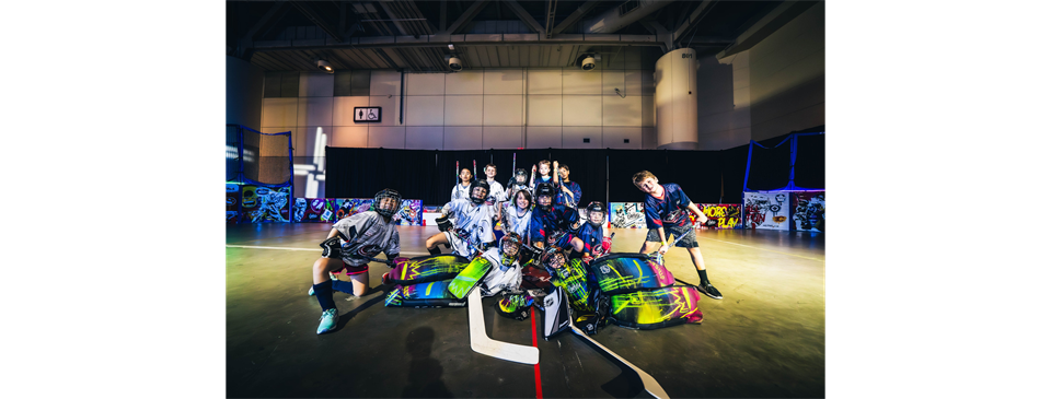 Join the Fun with NHL Street Description Learn, Bond, and Have a Blast!