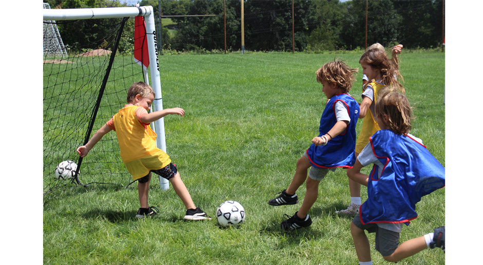 Developmental Environment