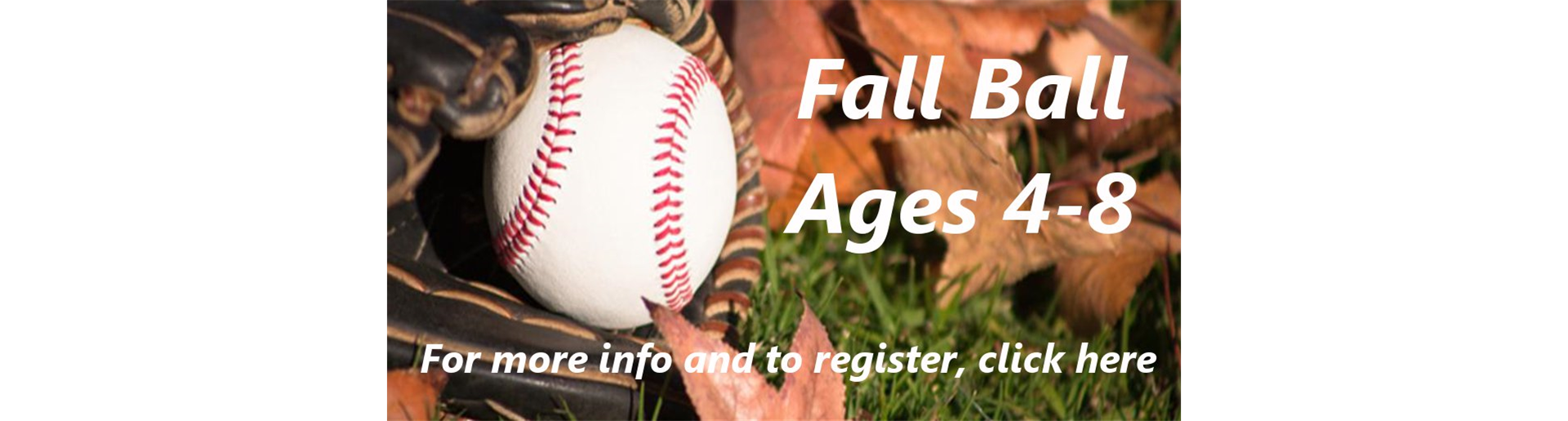 Fall Baseball Registration