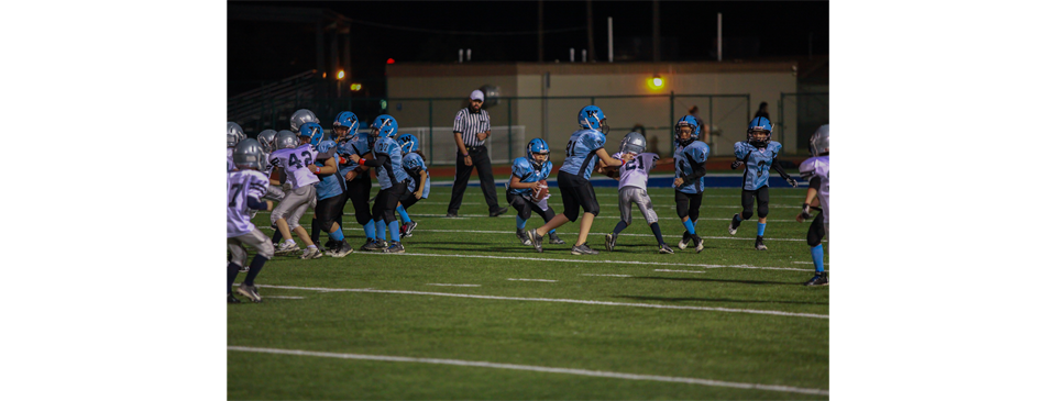 Wildcats