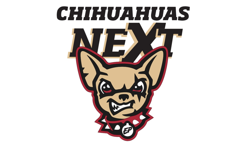 Chihuahuas Next