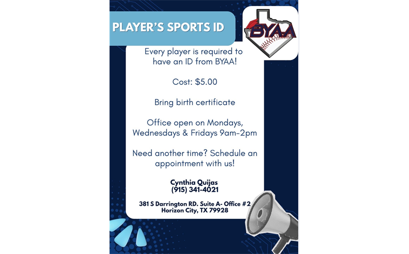 Player IDs