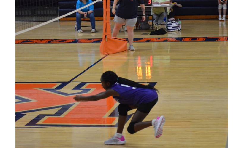 ELEMENTARY ACTION VOLLEYBALL 2025